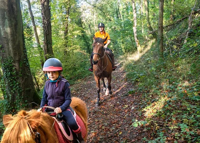 Vvf Normandie Tatil parkı 3*